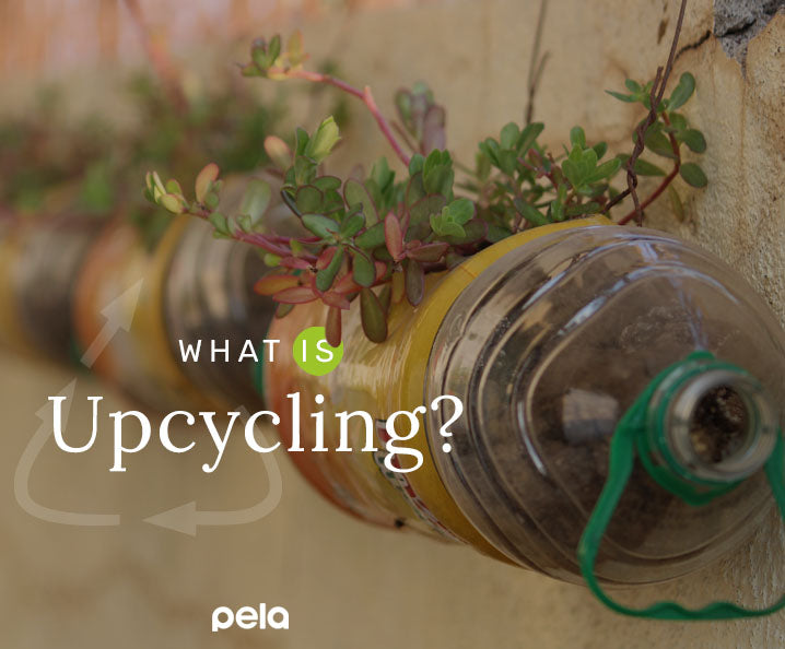 What Is Upcycling? An Ultimate Guide Pela Case