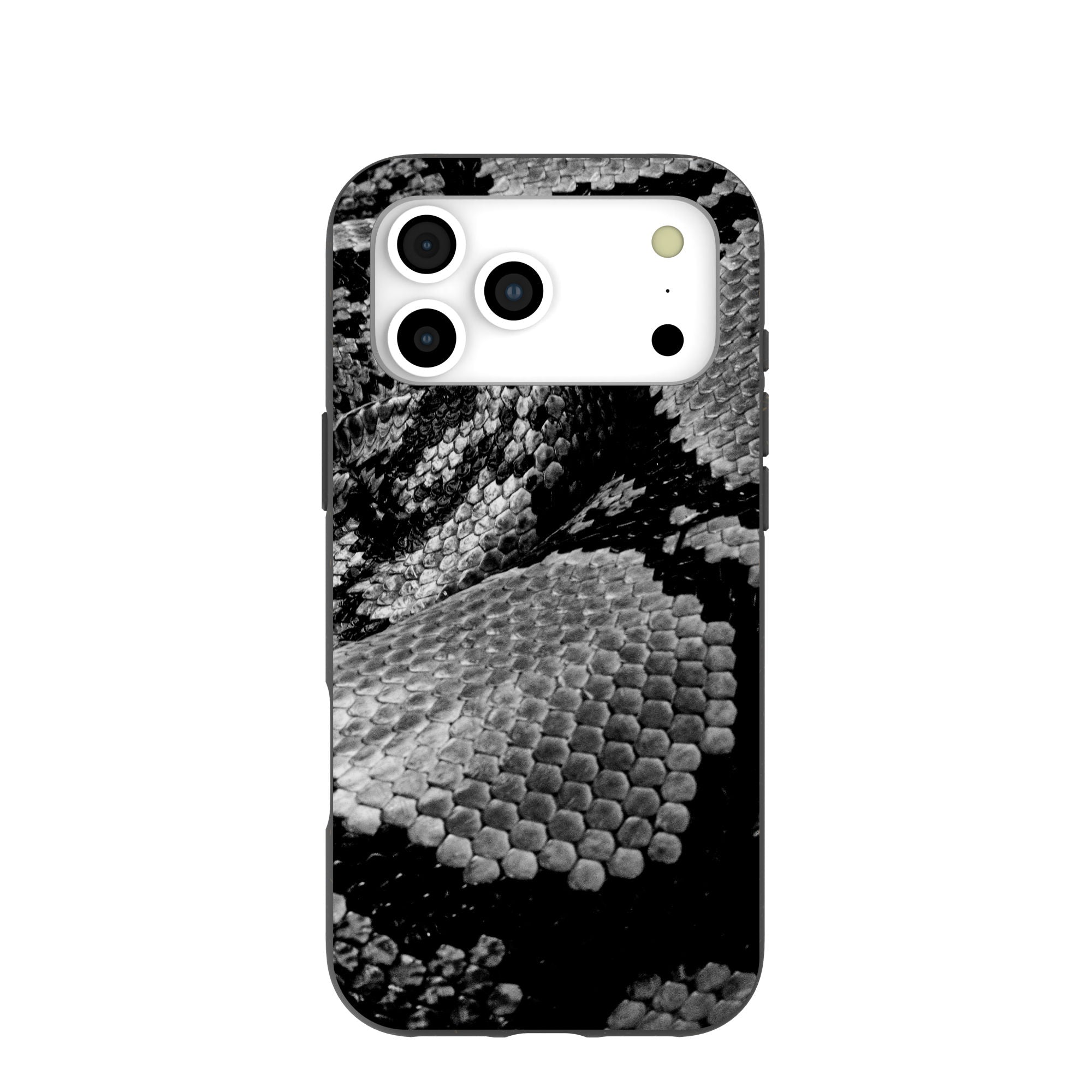Black Snake Scale iPhone 17 Pro Max Case – Pela Case