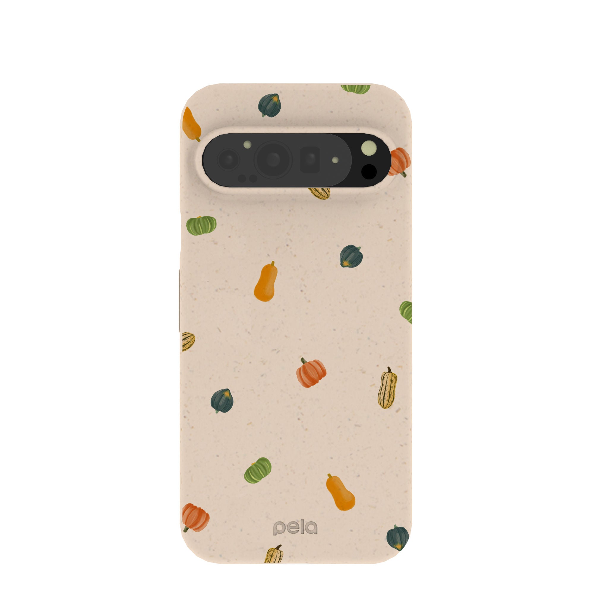 Coque Google Pixel 9 Pro XL à motif coquillages et courges