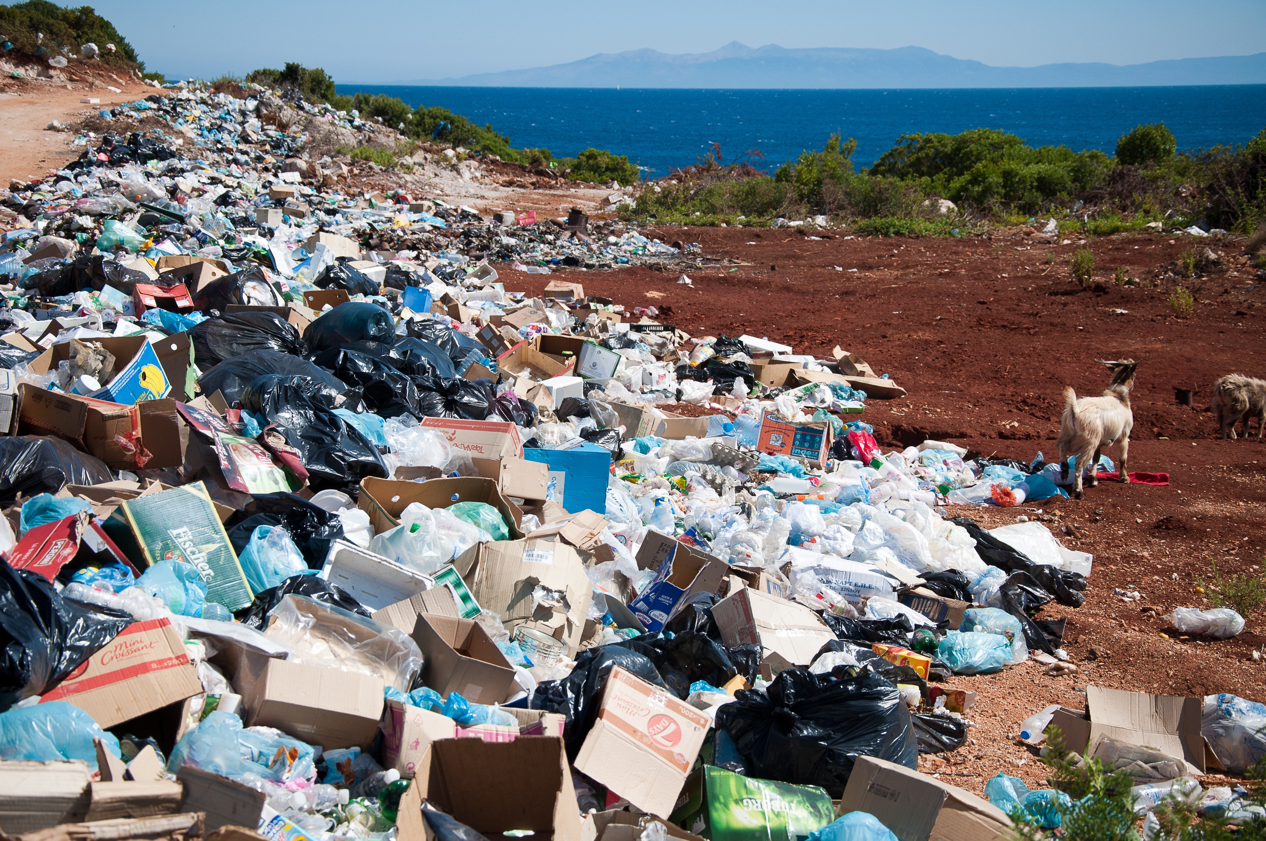 How Long Plastic Bottles Take to Degrade in the Ocean