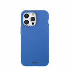 Electric Blue iPhone 15 Pro Max Case
