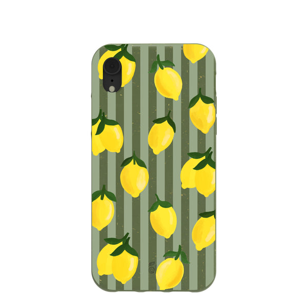 Forest Floor Zesty Lines iPhone XR Case – Pela Case