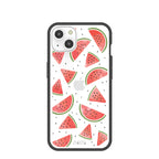 Clear Watermelon iPhone 13 Case With Black Ridge