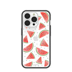Clear Watermelon iPhone 13 Pro Case With Black Ridge