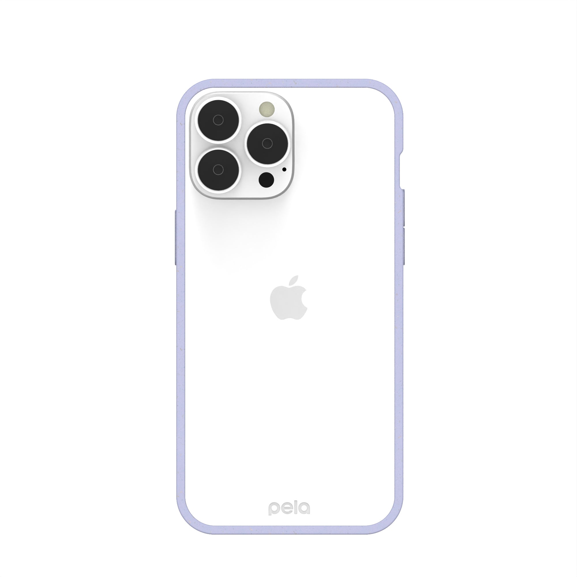 Clear iPhone 13 Pro Max Ridge